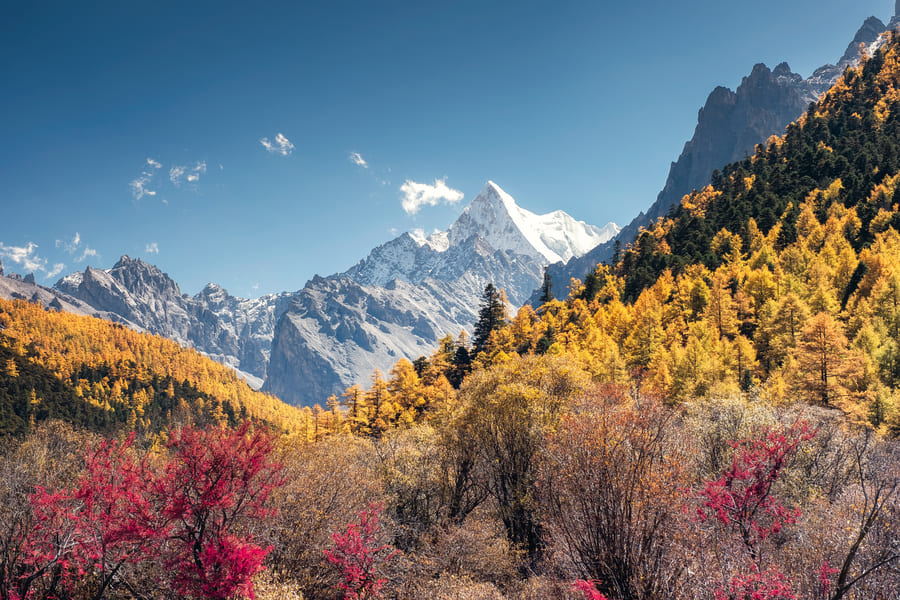 china cerros